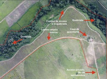 Terreno / Lote , Lamas · Venta de Terreno 12 Hectáreas en Tarapoto