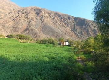 Terreno agrícola , Lucanas · Haz Realidad Tu Proyecto Rural: Fundo Ganadero y Agrícola en El Corazón de Sancos - Ayacucho