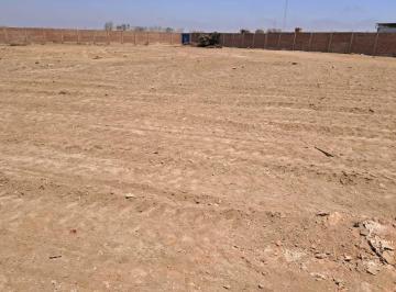 Terreno / Lote , Chincha · Vendo Terreno en Chincha Alta - X Estadio Cruz Blanca a 2 Cuadras