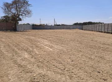 Terreno / Lote , Chincha · Vendo Terreno en Chincha Alta - X Estadio Cruz Blanca