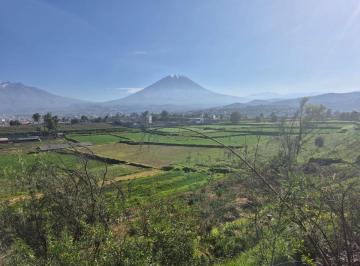 Terreno / Lote en Venta  Paucarpata · Vendo Terreno Agrícola en Paucarpata