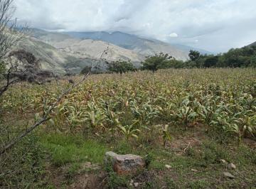 Terreno / Lote · 20169m² · Terreno en Venta en Huánuco 20169 m²