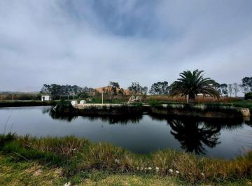 Terreno / Lote · 966ha · Ventade Lotes en Condominio de Campo Mala Cañete