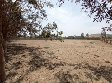 Terreno / Lote , Lima · Terreno 5,000 m² en Venta Pachacamac America Tv