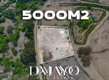 Terreno / Lote · 5167m² · Venta Terreno en Pacachacamac 5.000 m² Independizado, con Agua y Electricidad - Pachacamac