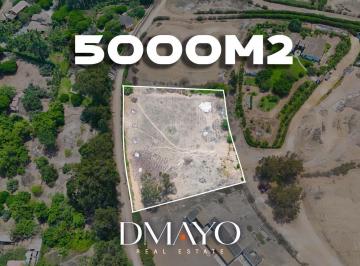 Terreno / Lote · 5167m² · Venta Terreno en Pacachacamac 5.000 m² Independizado, con Agua y Electricidad - Pachacamac