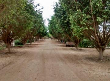 Terreno / Lote · 2000m² · Venta de Terreno en Chincha Cond. Rio Chico - 2000 m² - Agua - Energía Eléctrica - Segur. 24/7