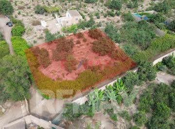 Terreno / Lote · 1000m² · Venta de Terreno Agrícola de 1000 m² en Venta – Huaral