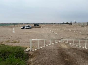 Terreno / Lote , Ica · Oportunidad de Inversión: Lotes en Exclusiva Urbanización Lucero de Chincha