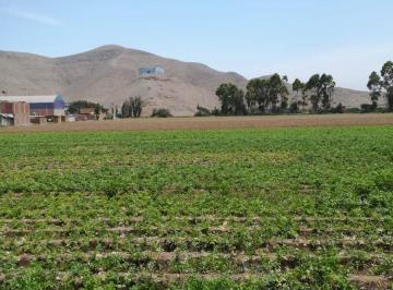 Terreno / Lote , Lima · Terreno en Venta, 24,000 m², Chuquitanta de San Martin de Porres