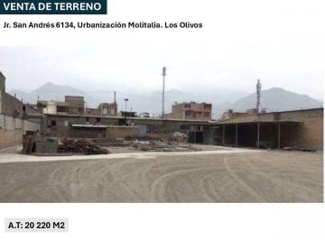 Terreno / Lote , Lima · Venta de Terreno – 20,250 m² – Zda – Los Olivos (Molitalia)