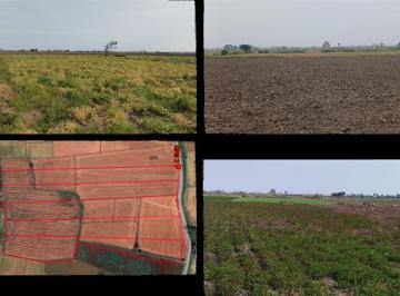 Terreno / Lote · 61445m² · Terreno Agricola