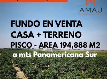 Terreno / Lote , Pisco · Venta de Fundo Casa y Terreno Agricola Uva y Naranja Pisco. Santa Cruz Ica