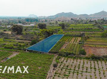 Terreno / Lote · 2397m² · Venta de Terreno en San Antonio - Cañete