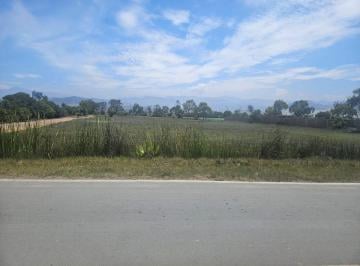 Terreno / Lote , Cañete · Vendo Terreno de Playa, Km 85 Panamericana Sur, Playa Totoritas