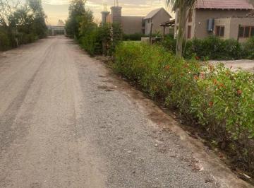 Terreno / Lote , Chincha · Venta de Terreno 1,000 m² Para Casa de Campo en El Carmen, Chincha