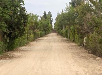 Terreno / Lote , Chincha · Venta de Terreno 1,000 m² Para Casa de Campo en El Carmen, Chincha