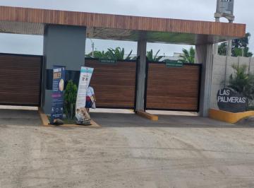 Terreno / Lote · 203m² · Venta Terreno Playa Las Palmeras Cañete