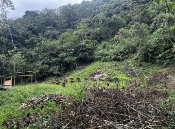 Terreno / Lote , Oxapampa · Venta de Terreno Ganaderia o Cultivo Oxapampa