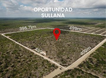 Terreno / Lote , Sullana · Macrolote Logístico 19.85 Ha - Zonificación Industrial Pdu - Sullana