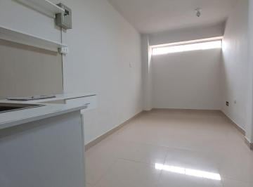 Departamento · 19m² · 1 Dormitorio · Departamento en San Martín de Porres