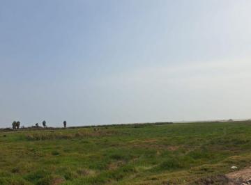 Terreno / Lote , Chincha · Terreno en Tambo de Mora de 37900 m² en Venta