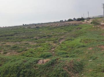 Terreno / Lote , Chincha · Terreno de 19395 m² en Venta en Tambo de Mora