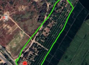 Terreno / Lote · 60000m² · Se Vende Terreno Parcela de 6 Hectáreas con Plantación de Mango