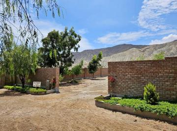 Terreno / Lote , Cañete · Terreno de 1156 m² en Venta en Altos de Coayllo - Coayllo