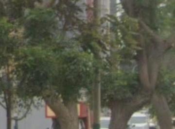 Terreno / Lote , Lima · Venta de 3 Casas Juntas Ideal Para Proyecto Inmobiliario