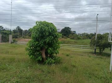 Terreno / Lote · 50000m² · Terreno en Campoverde