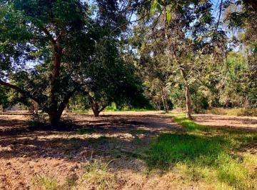 Terreno / Lote · 7457m² · Terreno en El Carmen Zona Exclusiva