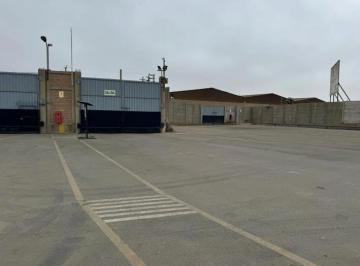 Nave industrial · 40000m² · 2 Dormitorios · 5 Estacionamientos · Local Industrial en Excelente Ubicación | 39,367 m² | 2.5 X m²