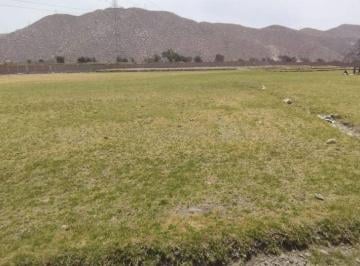 Terreno / Lote en Venta  Socabaya · Ideal Para Casa de Campo. Esquina. Cerco Perimetrico de La Asociacion. - Afc031