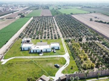 Terreno / Lote , Cañete · Venta de Terreno Agrícola en Nuevo Imperial – Cañete
