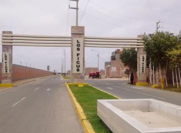Terreno / Lote , Chiclayo · ¡Ocasión! Terreno de 500 m² en Urb. Los Ficus I – Ideal Para Proyecto o Residencia