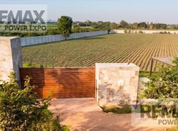Terreno / Lote · 100m² · 2 Dormitorios · 3 Estacionamientos · Terreno en Venta de 1 Hectárea (10,600 M&sup2;) Ubicado en Quilmaná - Cañete