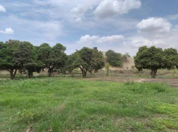 Terreno / Lote · 32279m² · 2 Dormitorios · Venta Oportunidad de Inversión: Terreno 32,279 m² en Los Aquijes - Ica