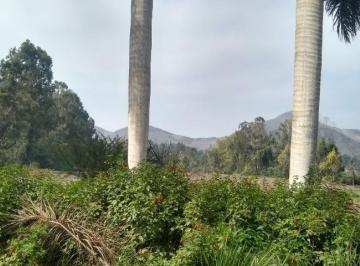 Terreno / Lote · 30000m² · Vendo Terreno Agrícola en Parcela Predio Rústico San Fernando Mz 1, Pachamac