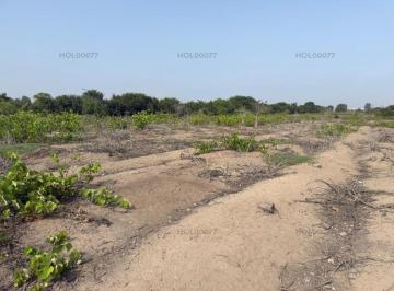 Terreno agrícola · 3ha · Venta de Terreno Agrícola – Bujama Alta, Cañete, Lima - Rápido Acceso a Panamericana Sur