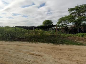Terreno / Lote · 157000m² · Venta de Terreno en Tumbes
