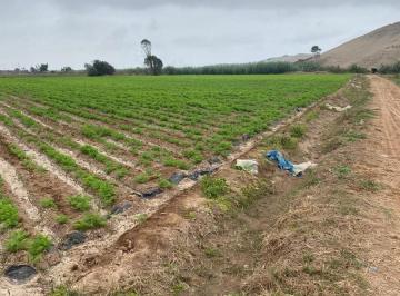 Terreno / Lote · 46m² · 20 Estacionamientos · Vendo Terreno Agricola Km 131 Pan Sur, Cerro Azul, Cañete