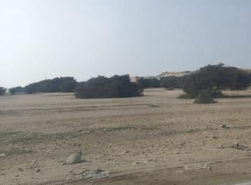 Terreno / Lote , Chincha · Chincha Tambo de Mora