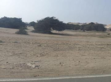 Terreno / Lote , Chincha · Chincha Tambo de Mora