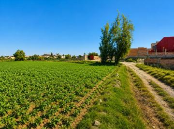 Terreno / Lote , Arequipa · Terreno en Venta – Huaranguillo, Sachaca