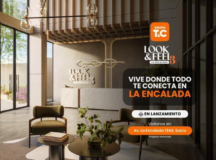 Desarrollo vertical , Lima · Look & Feel - Etapa 3