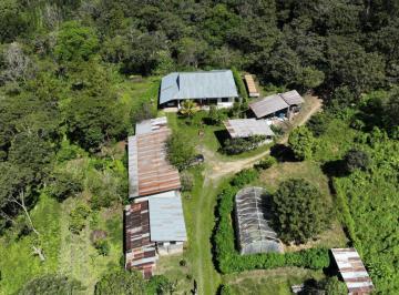 Terreno / Lote · 120ha · 3 Dormitorios · Venta Finca Cafetalera en El Valle del Entáz– Villa Rica