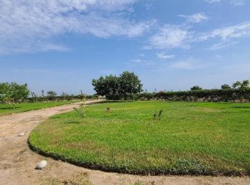 Terreno / Lote · 50000ha · Chincha - Venta de Fundo 50,000 m² Inversion Desarrollo Inmobiliario