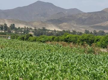Terreno / Lote · 87600ha · Venta de Terreno en El Hatillo, Chancay