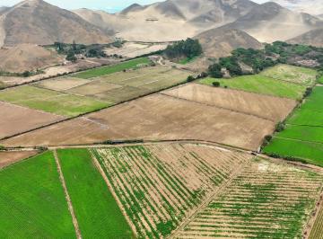 Terreno / Lote · 87600ha · Venta de Terreno en El Hatillo, Chancay